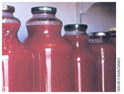 Recycling Jars and Lids Image
